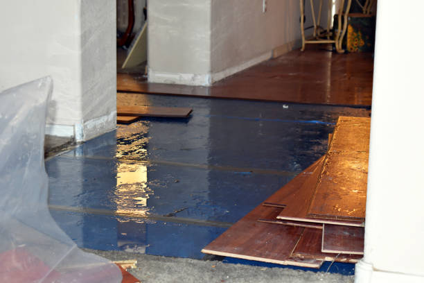 Professional Emergency Water Damage Restoration technician working in Sherwood, OH
